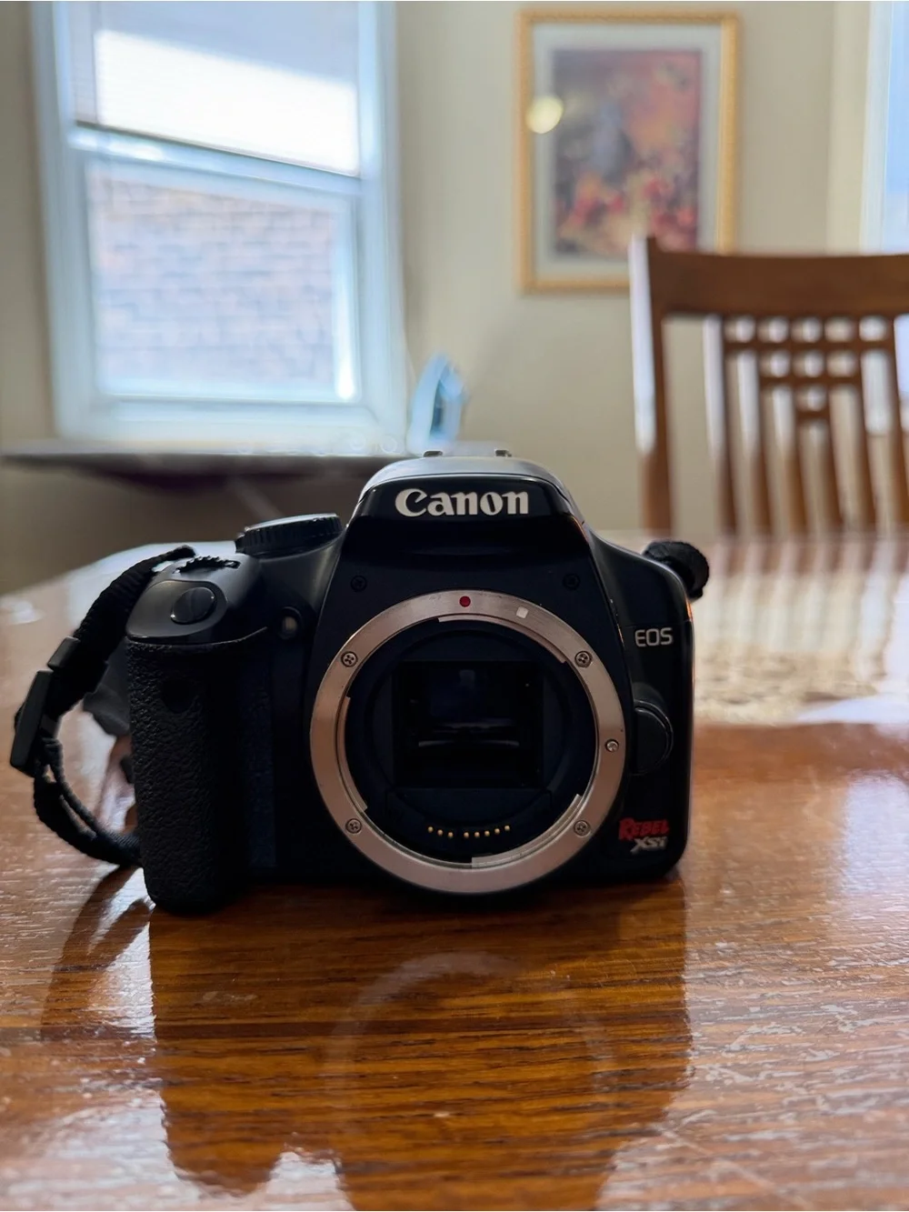 Canon EOS REBEL XSI 2008